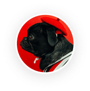 rev_about3.png