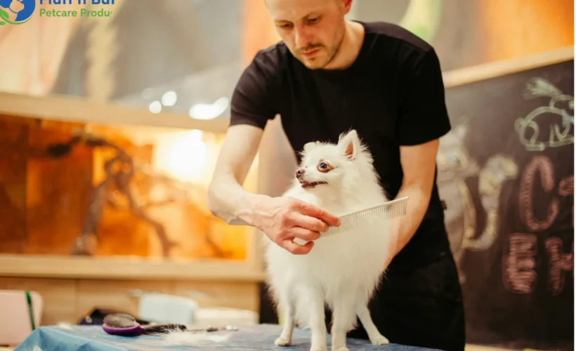 Pet Grooming Guide