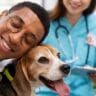 Pet Health & Wellness