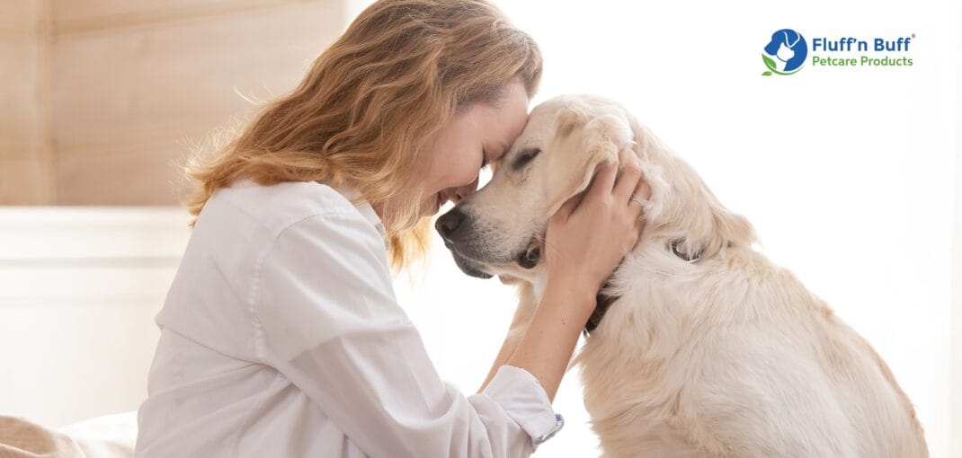 dog training commands